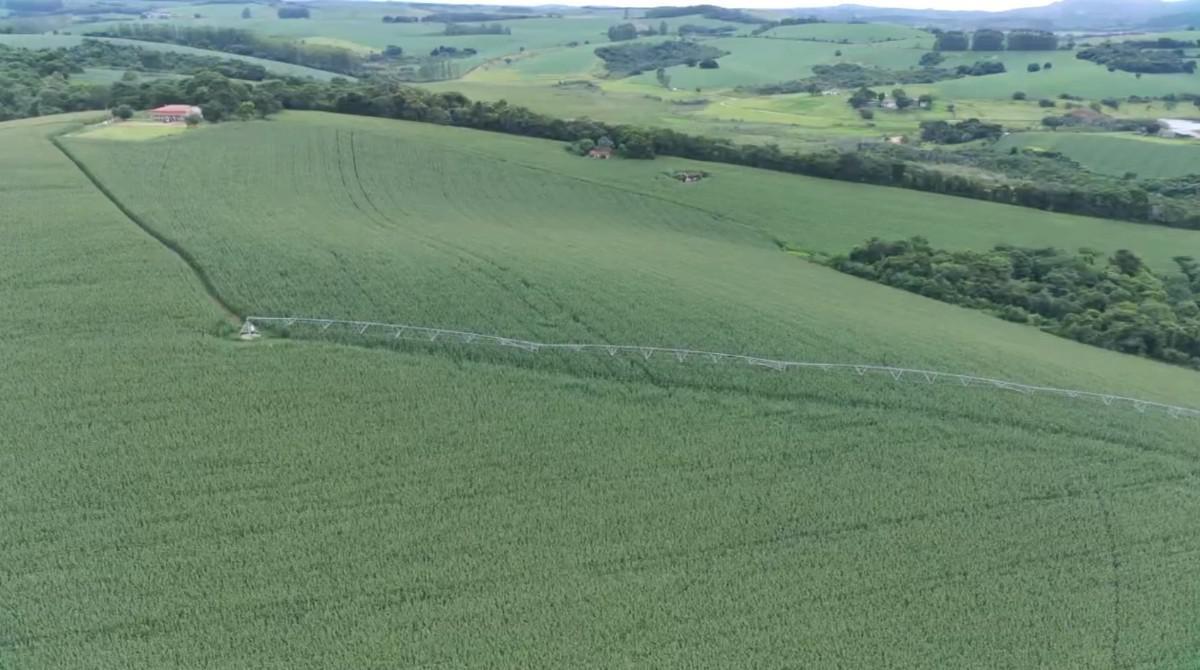 Fazenda, Zona Rural, 0 Quarto, 0 Vaga