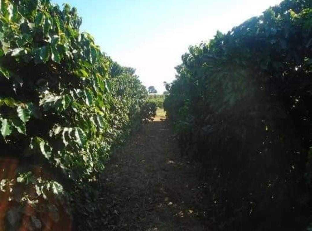 Fazenda, Zona Rural, 0 Quarto, 0 Vaga