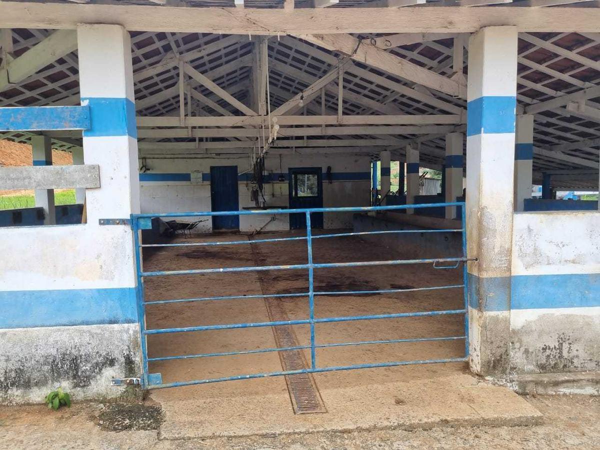 Fazenda, Zona Rural, 3 Quartos, 0 Vaga