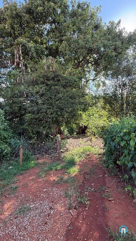Lote, Centro, 0 Quarto, 0 Vaga