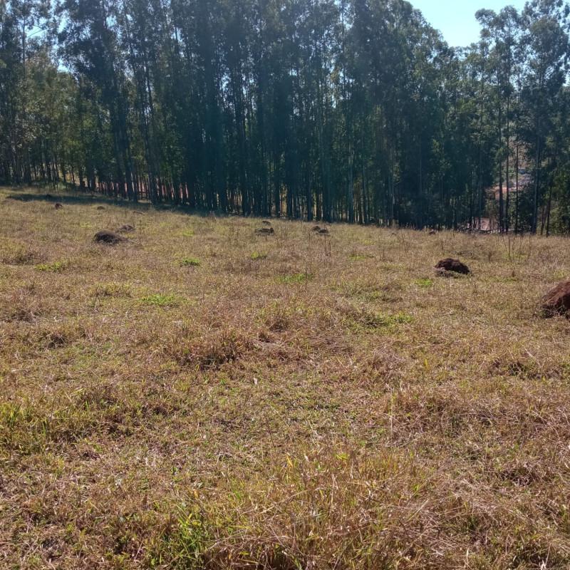 Fazenda, Zona Rural, 0 Quarto, 0 Vaga