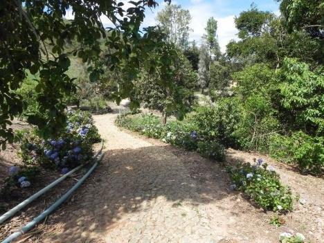 Lote, Zona Rural
