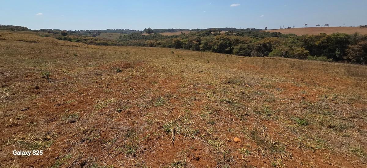 Fazenda, Centro, 1 Quarto, 21 Vagas, 1 Suíte