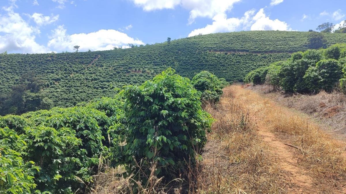 Fazenda, Zona Rural, 0 Quarto, 0 Vaga