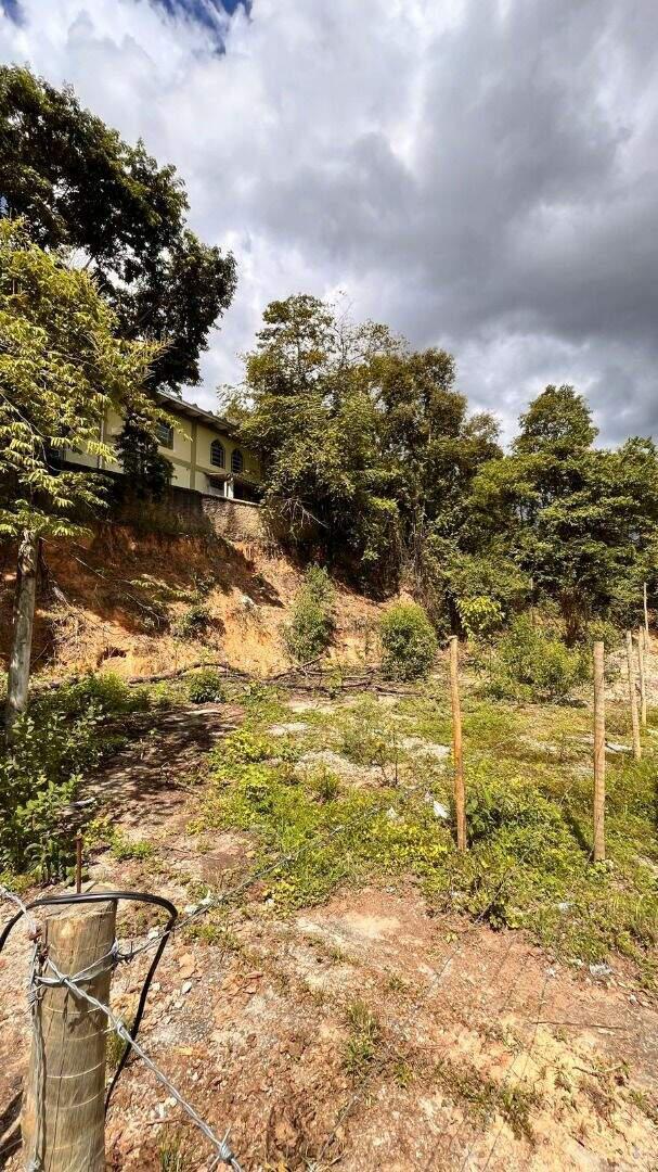Lote, Camelos, 0 Quarto, 0 Vaga