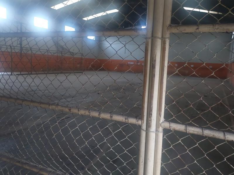 Galpão, Cinquentenário