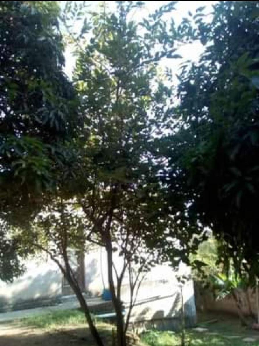 Casa, Buganville II, 2 Quartos, 3 Vagas