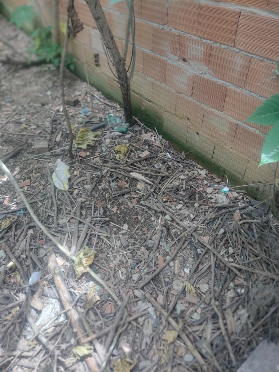 Lote, Colonial, 0 Quarto, 0 Vaga