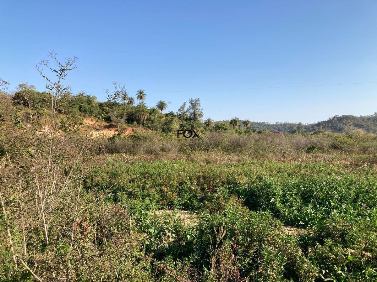 Lote, Centro, 0 Quarto, 0 Vaga