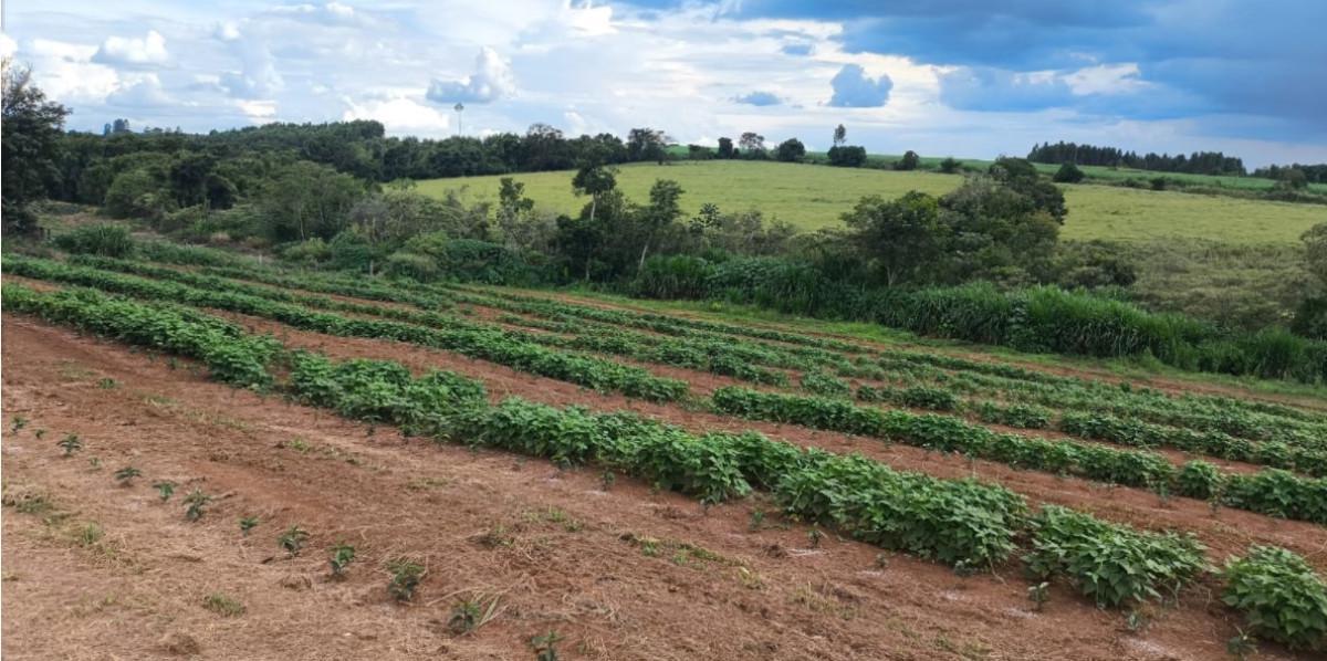 Fazenda, Zona Rural, 0 Quarto, 0 Vaga