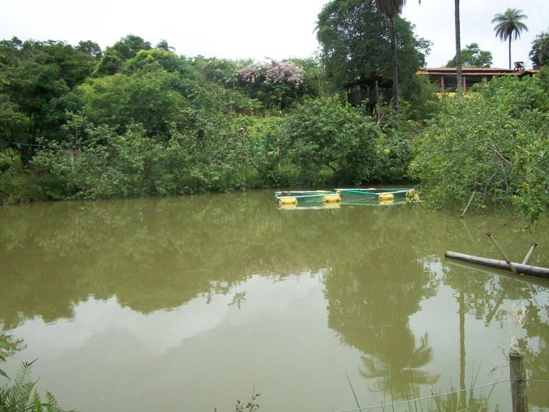 Fazenda, Centro, 4 Quartos, 15 Vagas, 1 Suíte