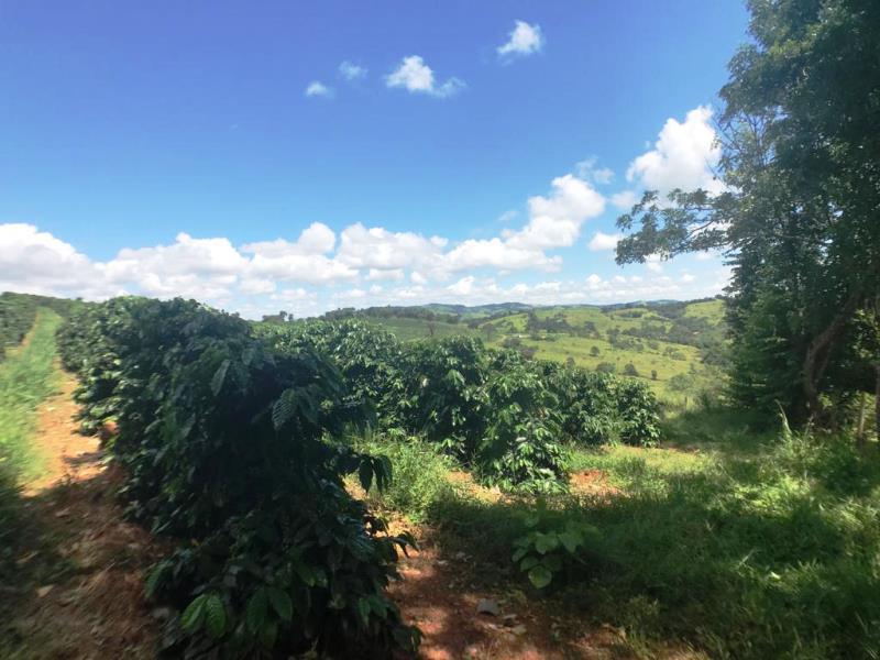 Fazenda, Zona Rural, 0 Quarto, 0 Vaga