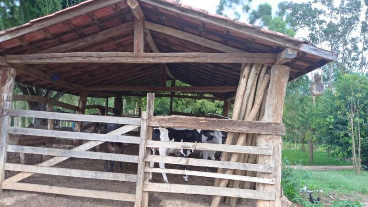 Fazenda, Centro, 6 Quartos, 3 Vagas