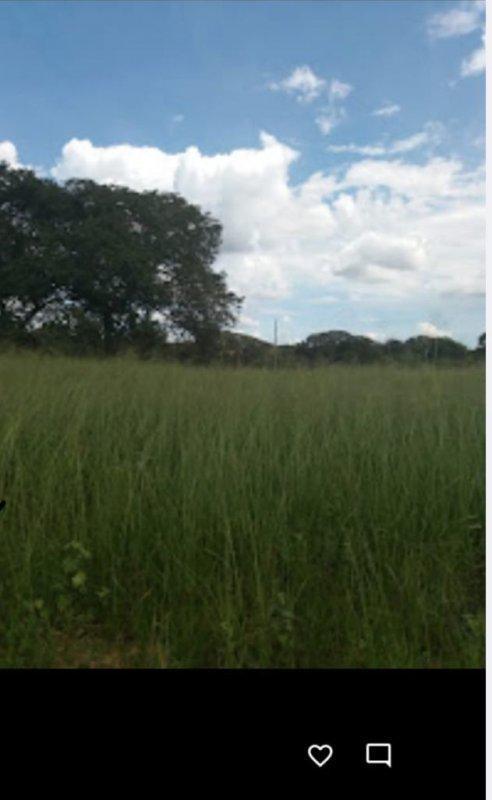 Fazenda, Centro, 0 Quarto, 0 Vaga