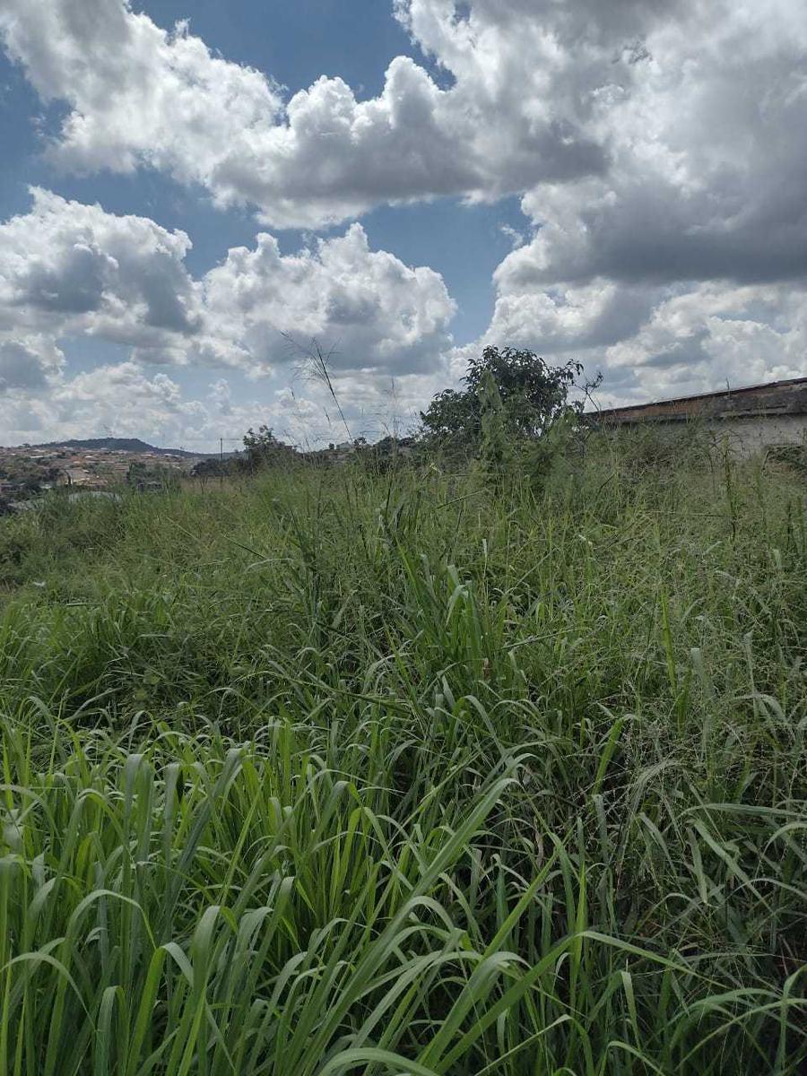 Lote, Florença, 0 Quarto, 0 Vaga