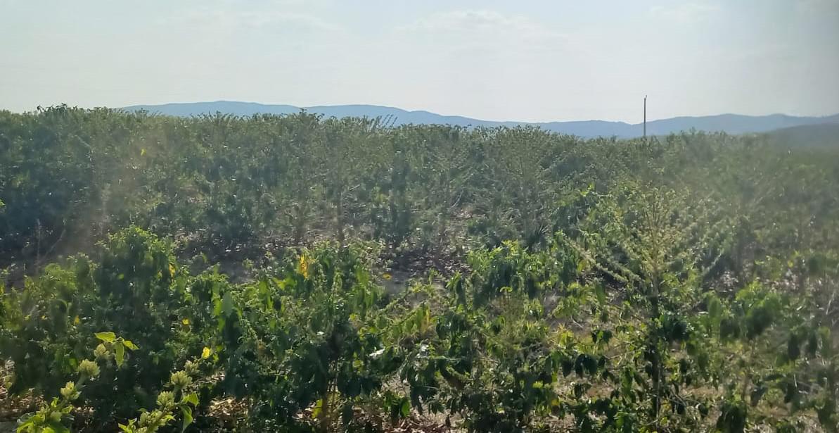 Fazenda, Zona Rural, 4 Quartos, 0 Vaga