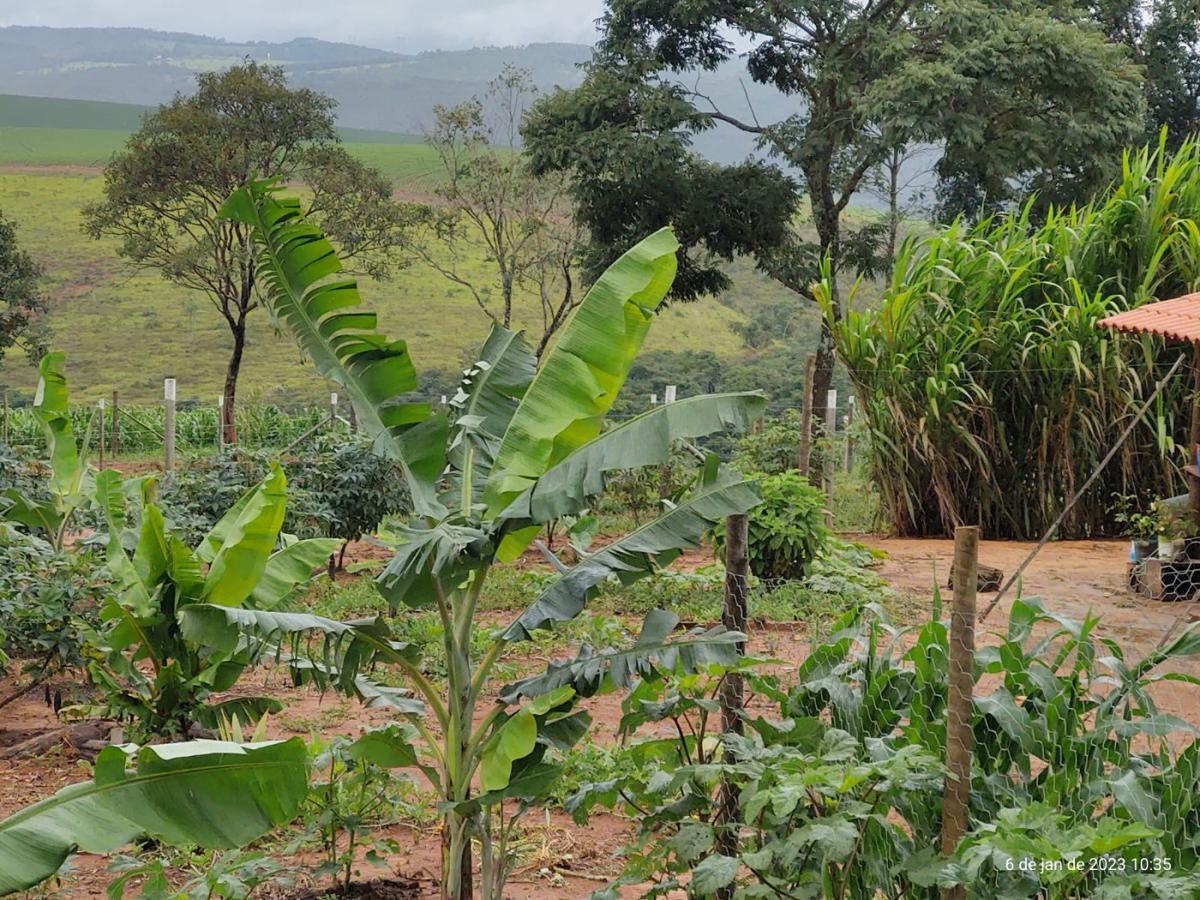 Fazenda, Centro, 3 Quartos, 4 Vagas, 1 Suíte