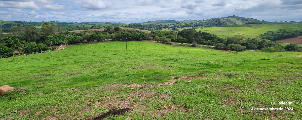 Fazenda, Centro, 3 Quartos, 0 Vaga