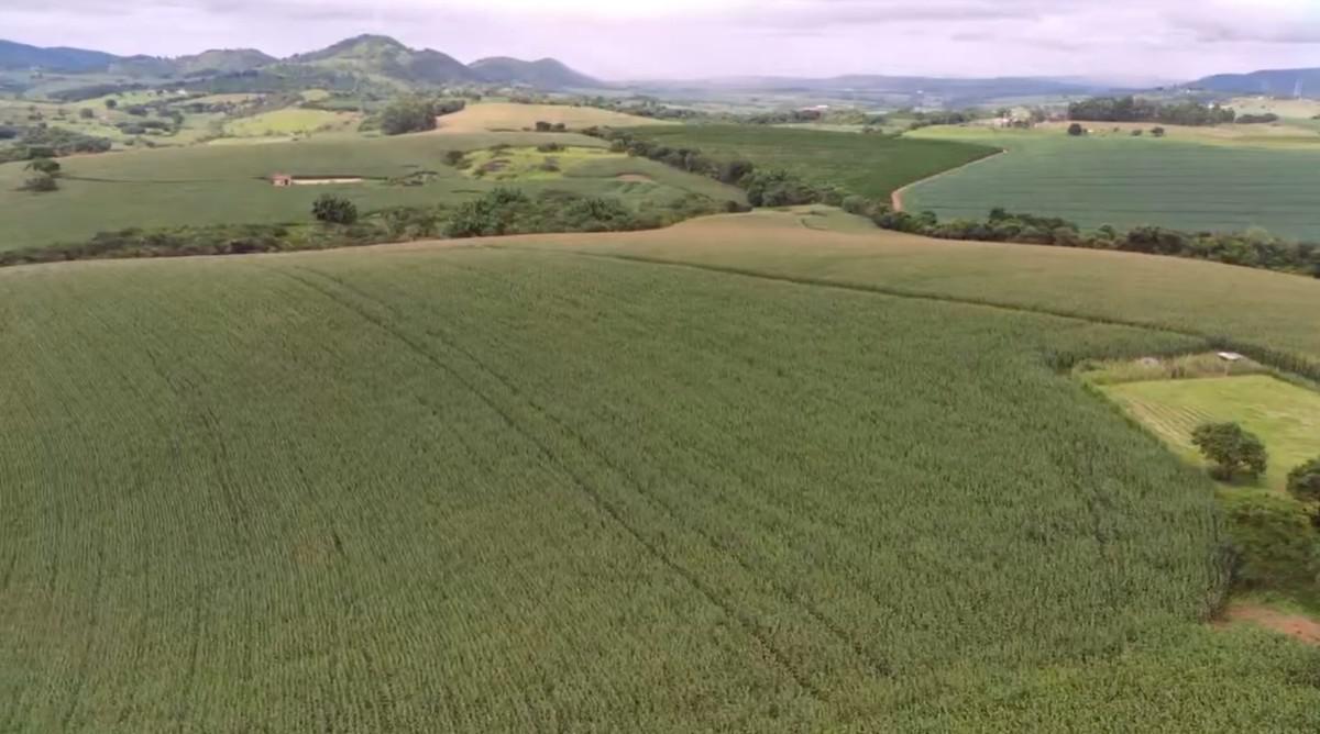 Fazenda, Zona Rural, 0 Quarto, 0 Vaga