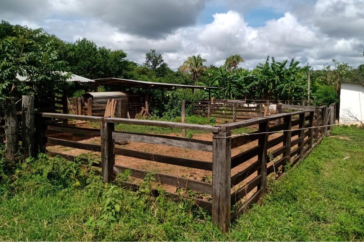 Fazenda, Zona Rural, 0 Quarto, 0 Vaga