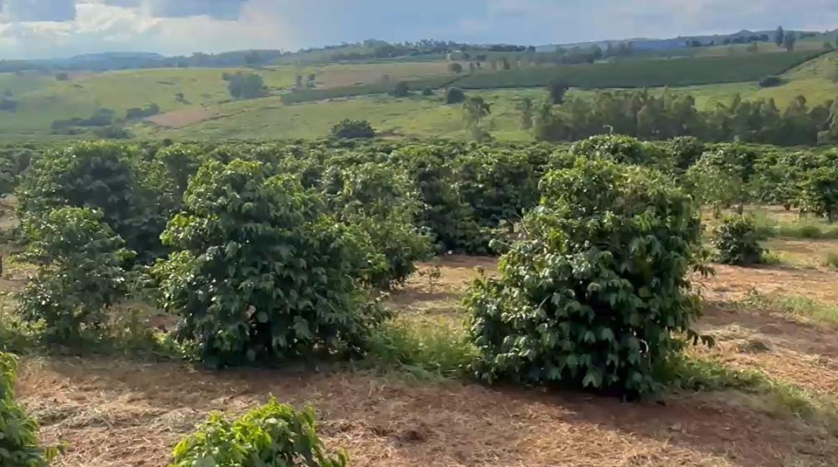 Fazenda, Zona Rural, 0 Quarto, 0 Vaga