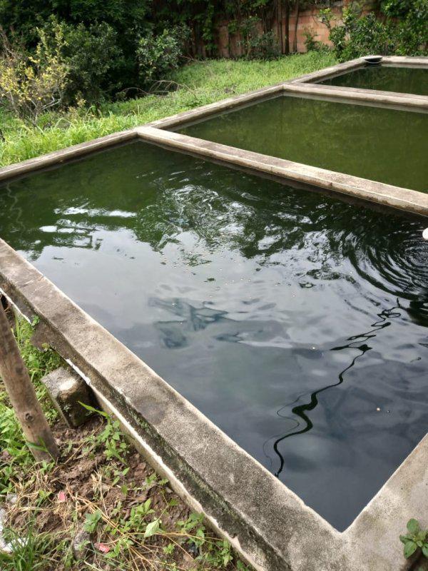 Fazenda, Jardim Rosario, 4 Quartos, 20 Vagas, 1 Suíte