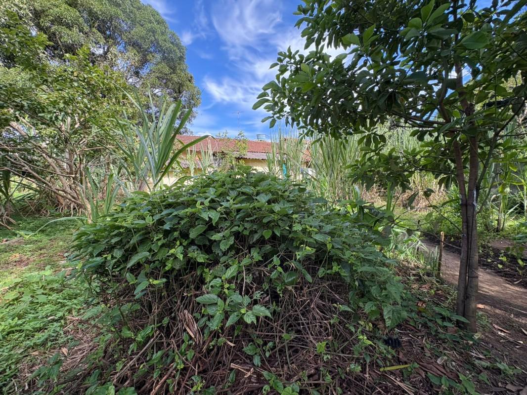 Fazenda, Bom Jardim, 0 Quarto, 0 Vaga