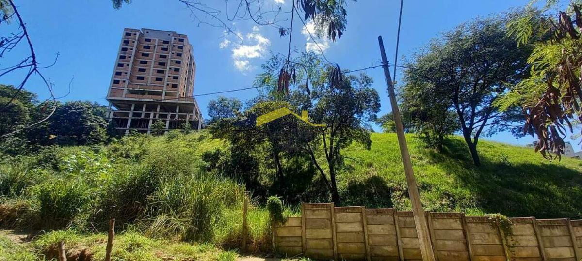 Lote, Buritis