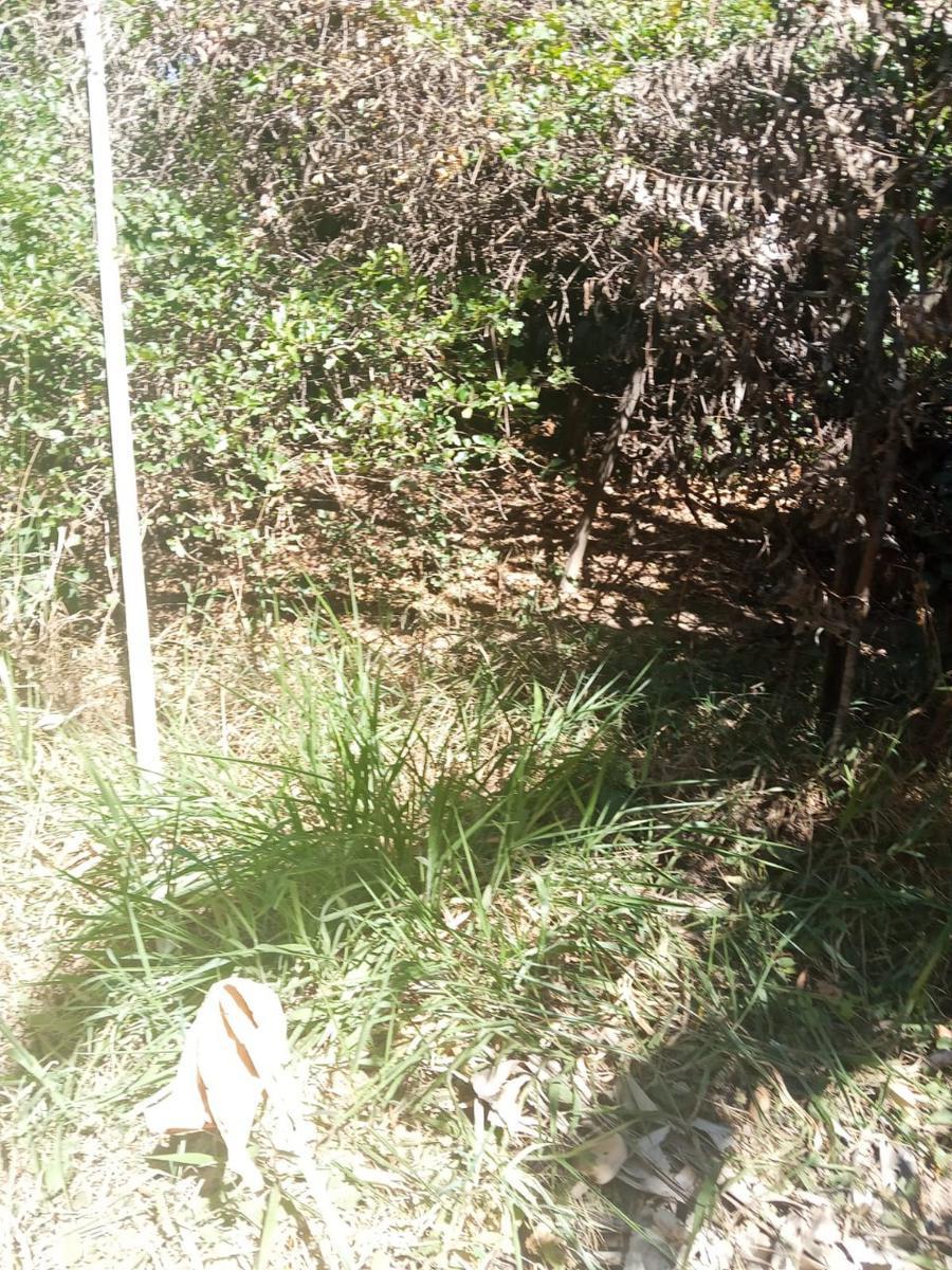 Lote, Trevo, 0 Quarto, 0 Vaga