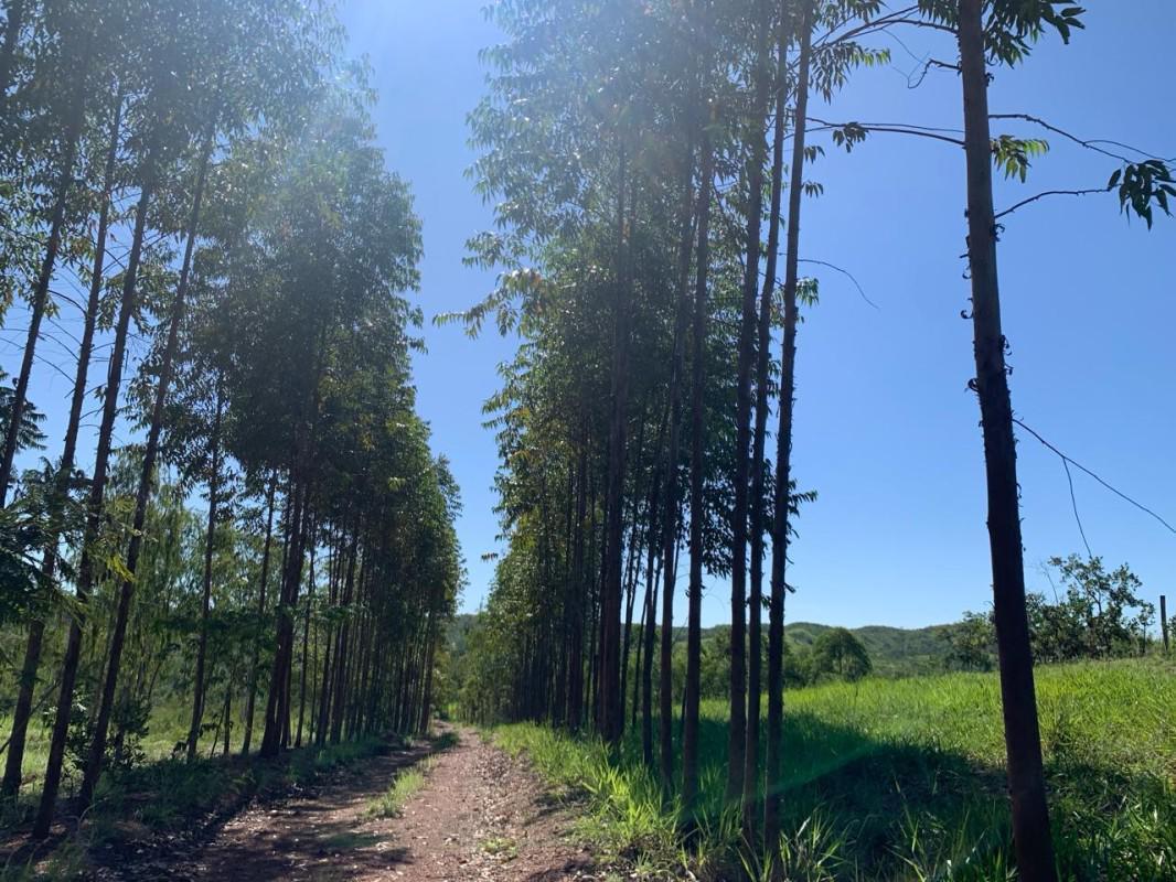 Fazenda, Ruralminas, 3 Quartos, 10 Vagas, 1 Suíte