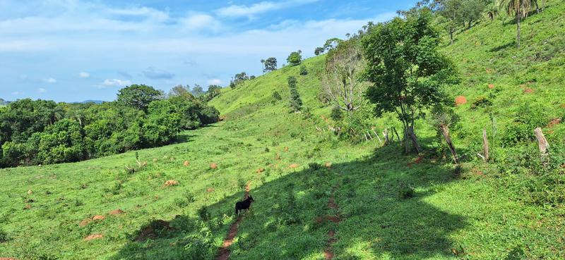 Lote, Zona Rural, 2 Quartos
