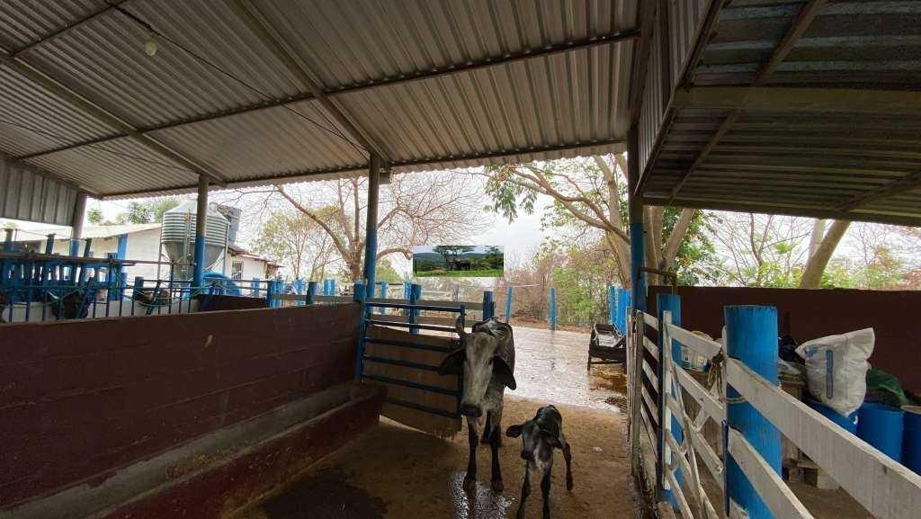 Fazenda, Urucuia, 3 Quartos, 0 Vaga, 1 Suíte