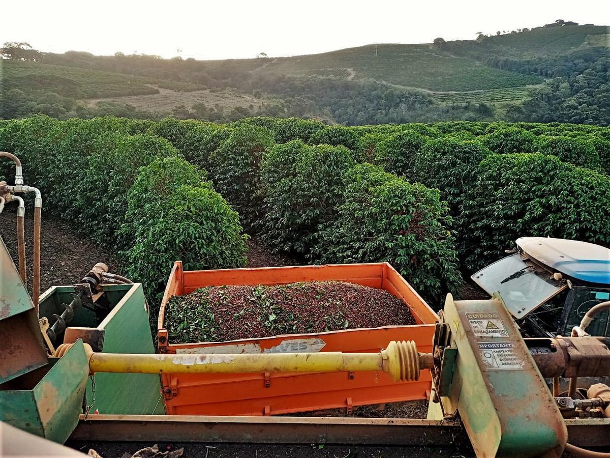 Fazenda, Zona Rural, 0 Quarto, 0 Vaga