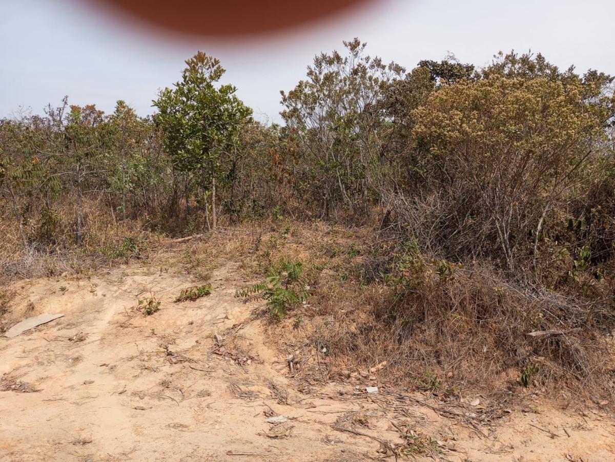 Lote, Zona Rural, 0 Quarto, 0 Vaga