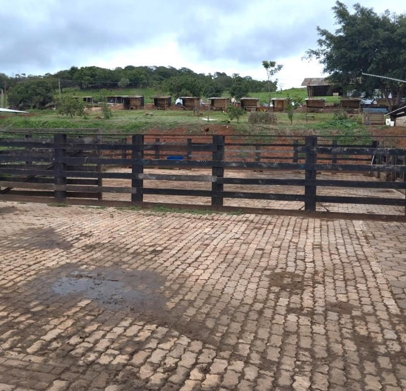 Fazenda, Área Rural de Pará de Minas, 0 Quarto, 0 Vaga