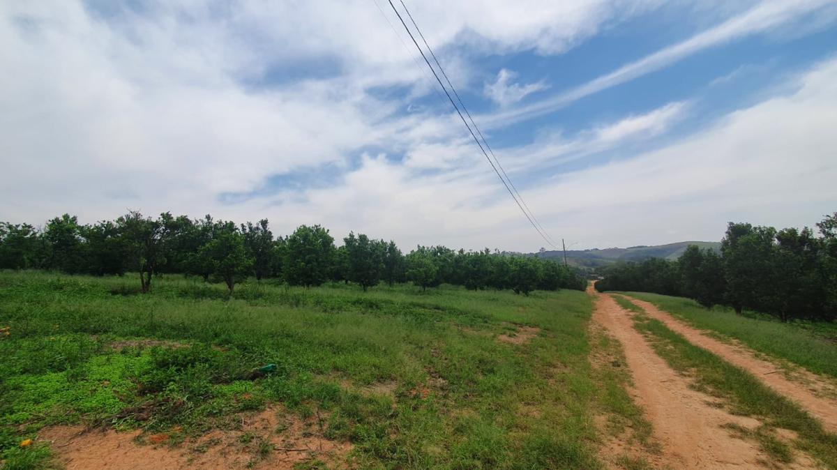 Fazenda, Zona Rural, 3 Quartos, 0 Vaga, 1 Suíte
