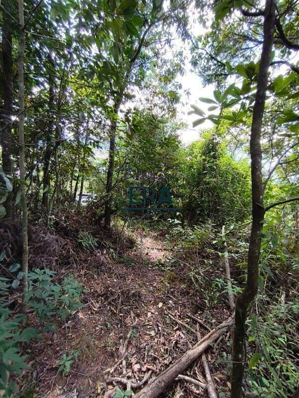 Lote, Parque do Engenho, 0 Quarto, 0 Vaga