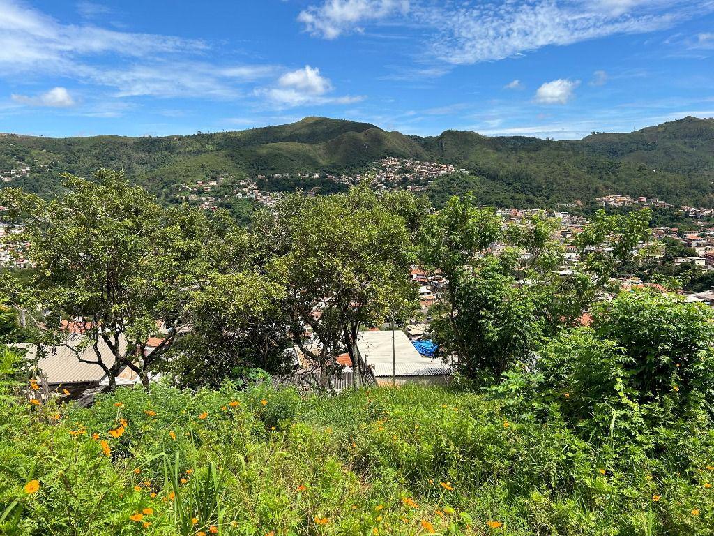 Lote, Vila Santo Antônio de Pádua, 0 Quarto, 0 Vaga