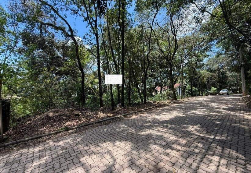 Lote, Olaria, 0 Quarto, 0 Vaga
