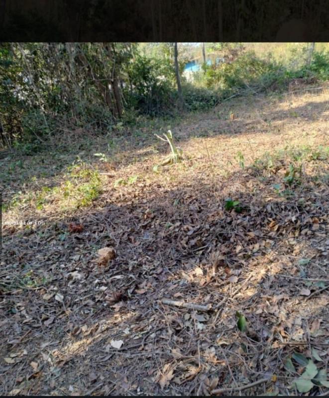 Lote, Vila Ipê Amarelo, 0 Quarto, 0 Vaga