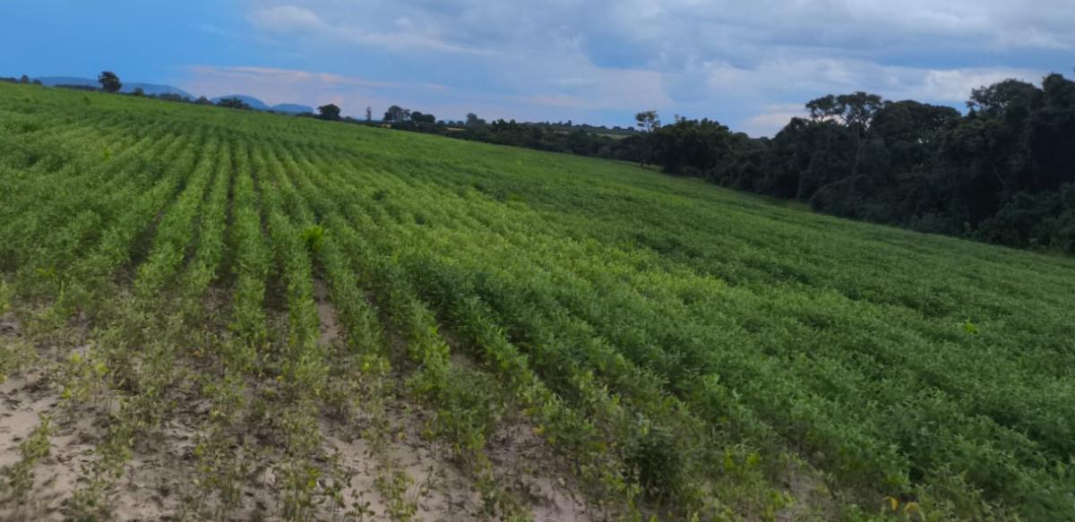 Fazenda, Zona Rural, 0 Quarto, 0 Vaga