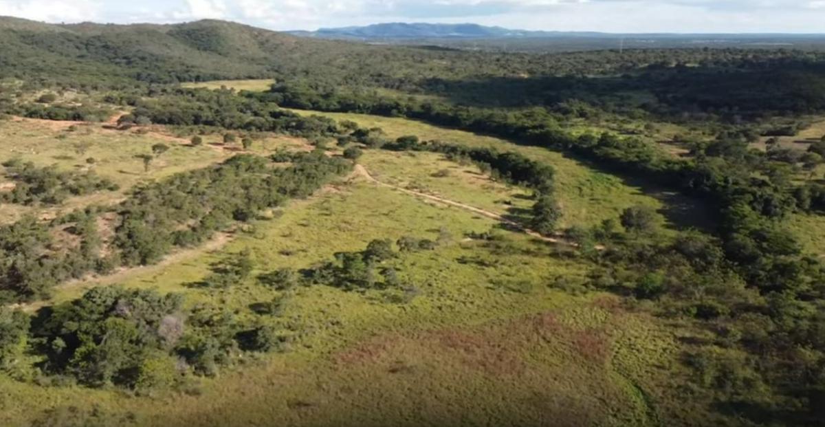 Fazenda, Centro, 4 Quartos, 0 Vaga