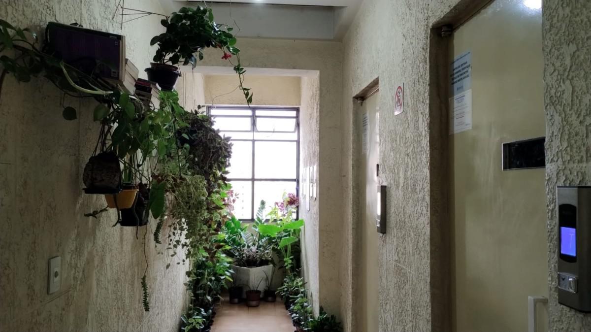 Apartamento, Barro Preto, 1 Quarto, 0 Vaga