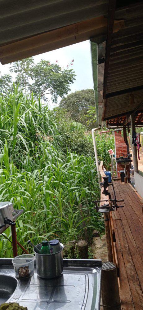 Fazenda, Guedes, 2 Quartos, 0 Vaga