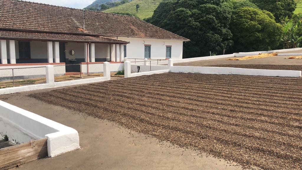 Fazenda, Centro, 3 Quartos, 1 Vaga