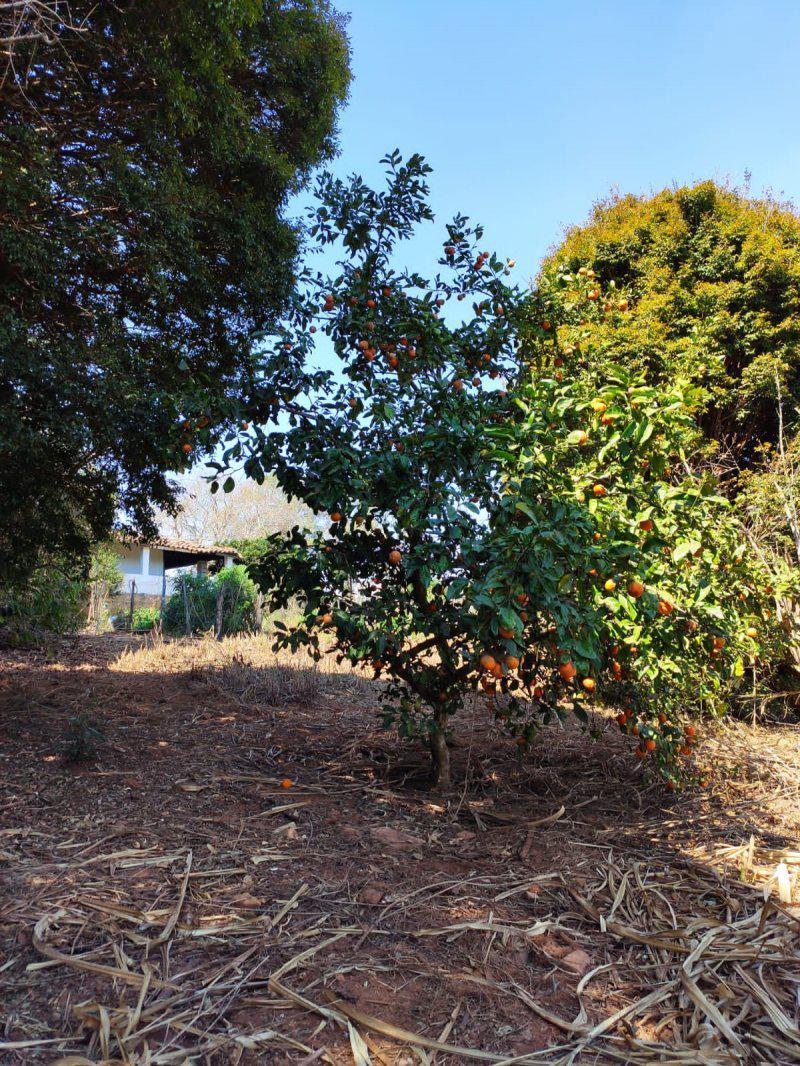 Fazenda, Tombadouro, 0 Quarto, 0 Vaga