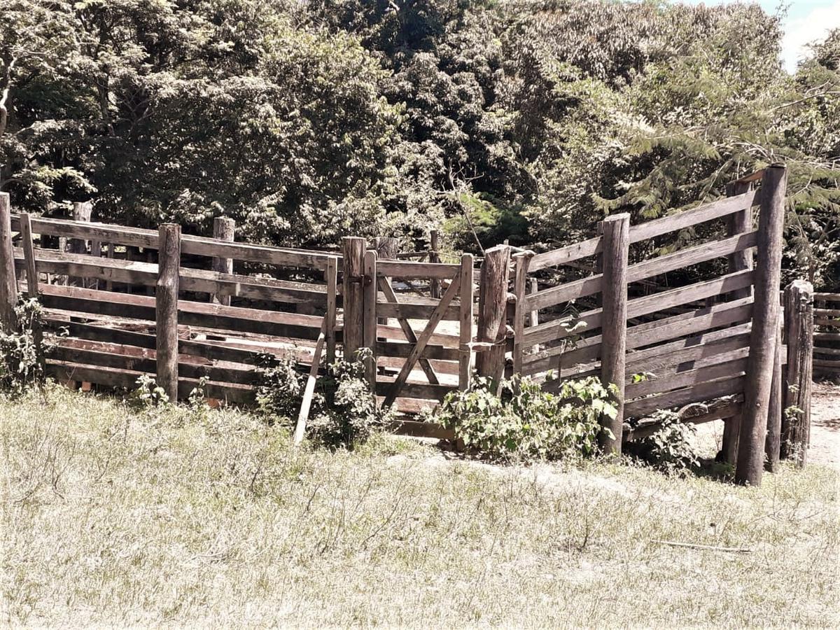 Fazenda, Centro, 1 Quarto, 0 Vaga