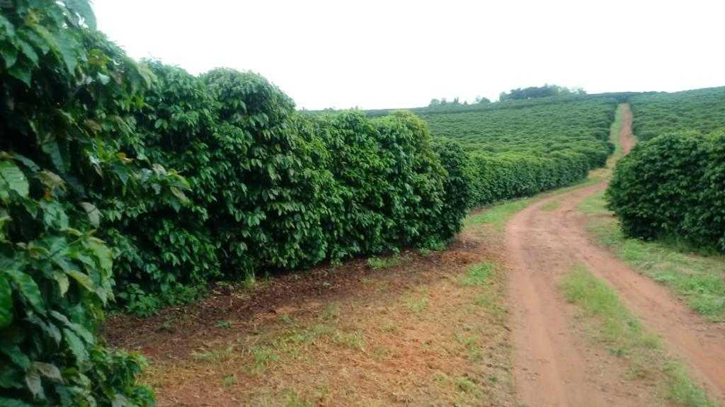 Fazenda, Centro, 3 Quartos, 1 Vaga, 1 Suíte