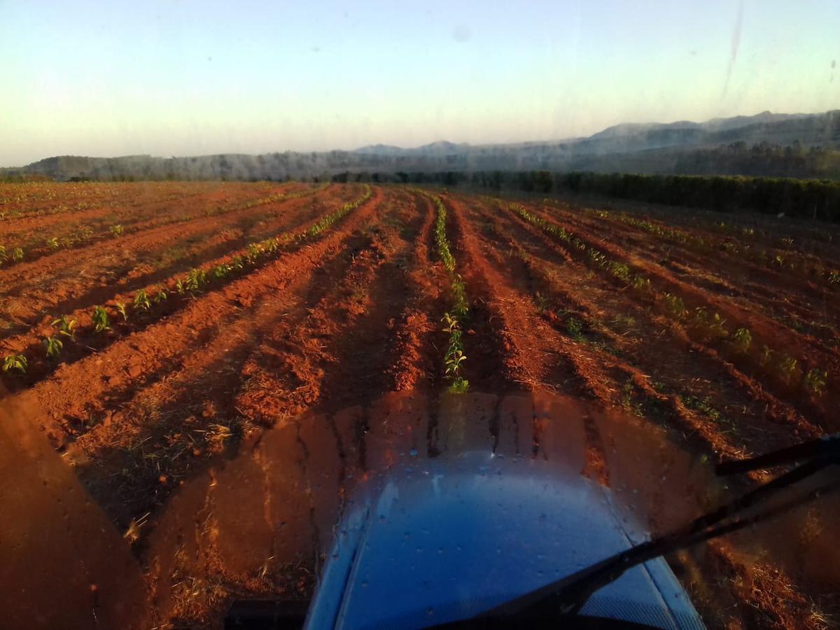 Fazenda, Zona Rural, 0 Quarto, 0 Vaga