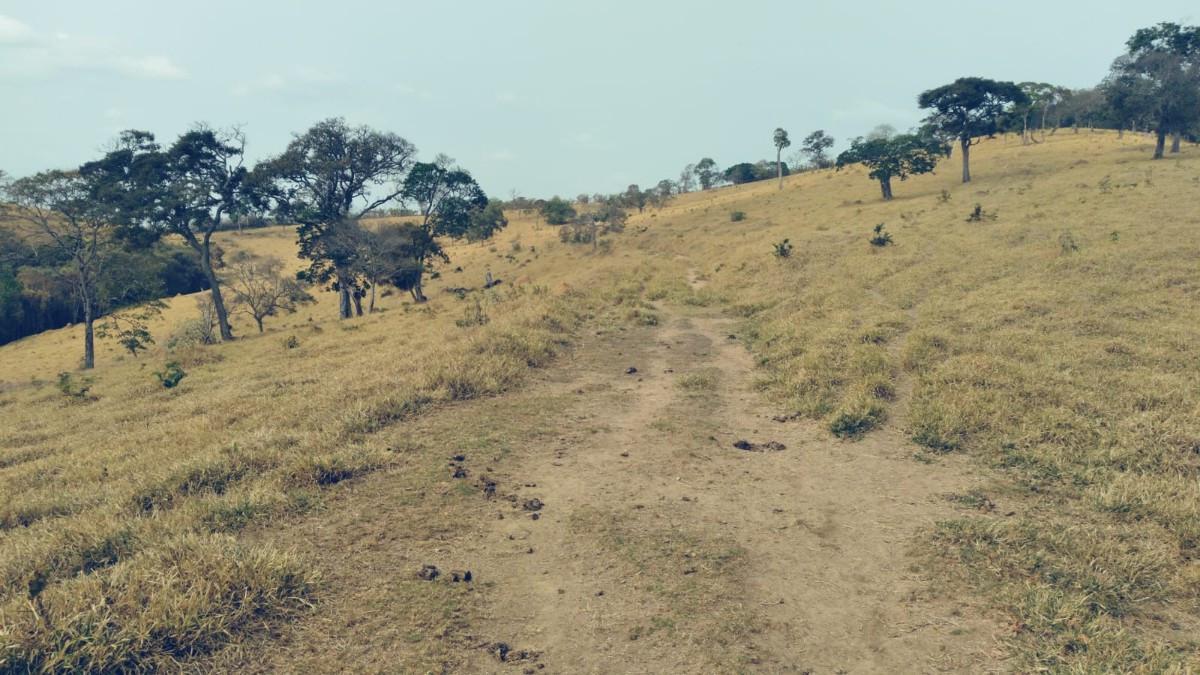 Fazenda, Zona Rural, 0 Quarto, 0 Vaga